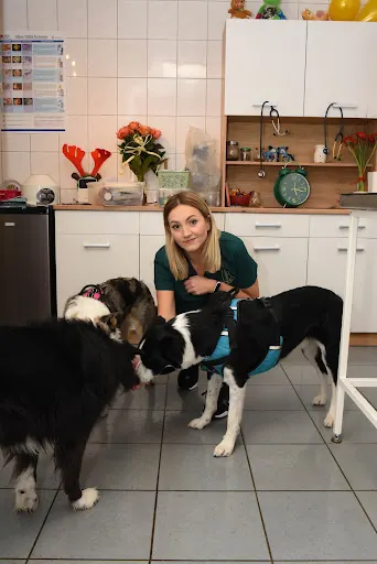 Gabinet Weterynaryjny Family Vet